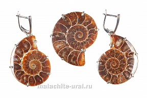 Комплект украшения из аммонитов
