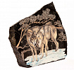 Рисунок на камне "Волки"